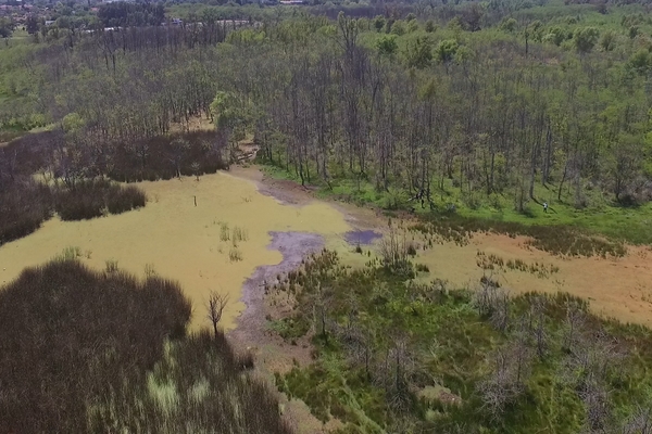 CORREDORES BIOCULTURALES EN LA ESTRATEGIA NACIONAL DE BIODIVERSIDAD